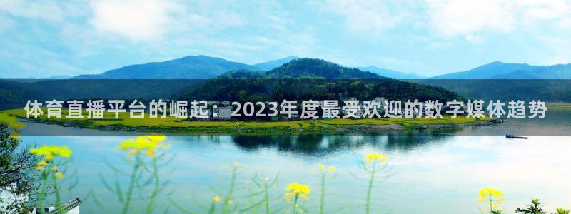 体育直播平台的崛起：2023年度最受欢迎的数字媒体趋势