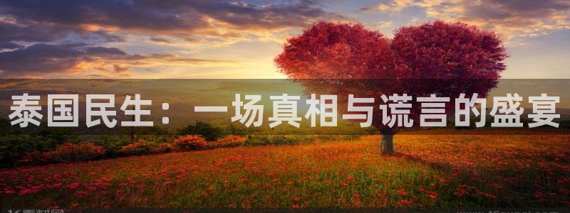 泰国民生：一场真相与谎言的盛宴
