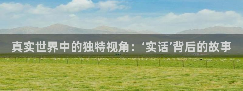 真实世界中的独特视角：‘实话’背后的故事