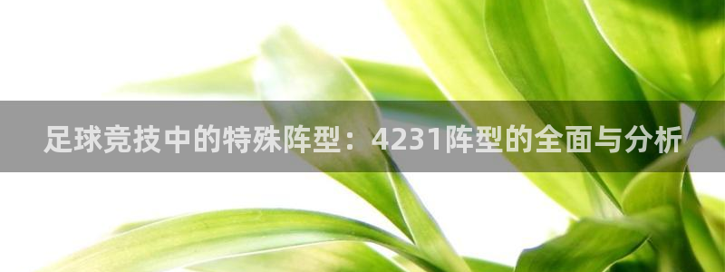 足球竞技中的特殊阵型：4231阵型的全面与分析