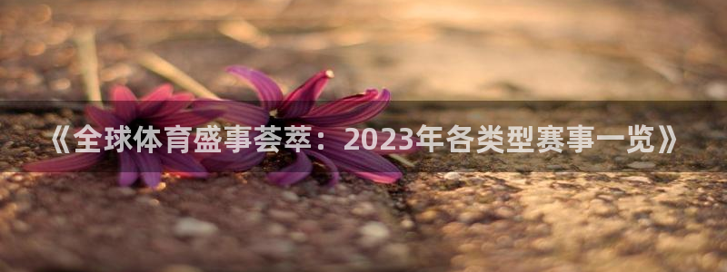 《全球体育盛事荟萃：2023年各类型赛事一览》