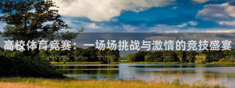 高校体育竞赛：一场场挑战与激情的竞技盛宴