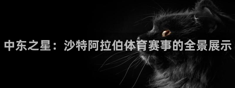 中东之星：沙特阿拉伯体育赛事的全景展示